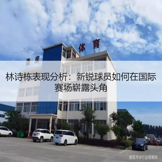 林诗栋表现分析：新锐球员如何在国际赛场崭露头角
